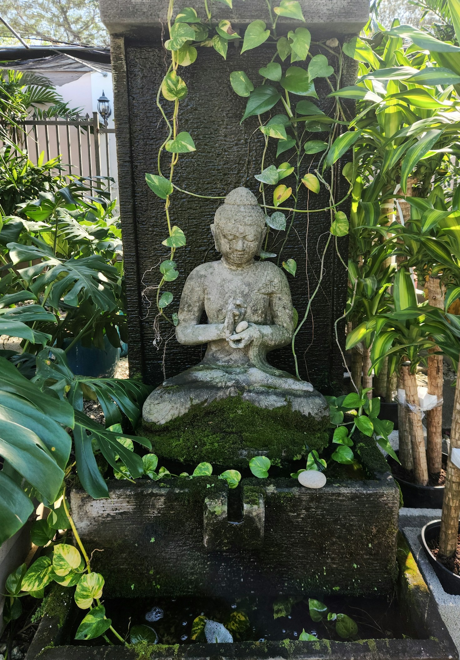 Faith and Music: A Harmonious Journey